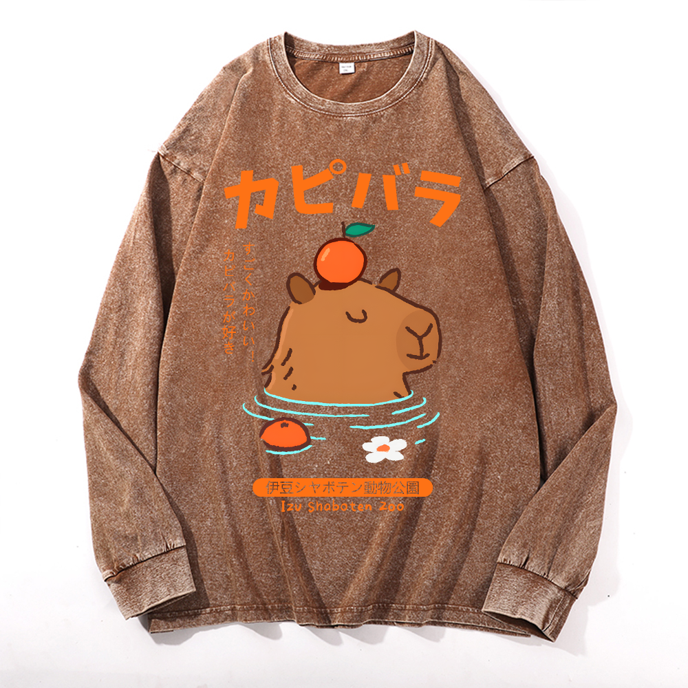Capybara Vintage Cotton Wash Crewneck Long-Sleeve T-Shirt