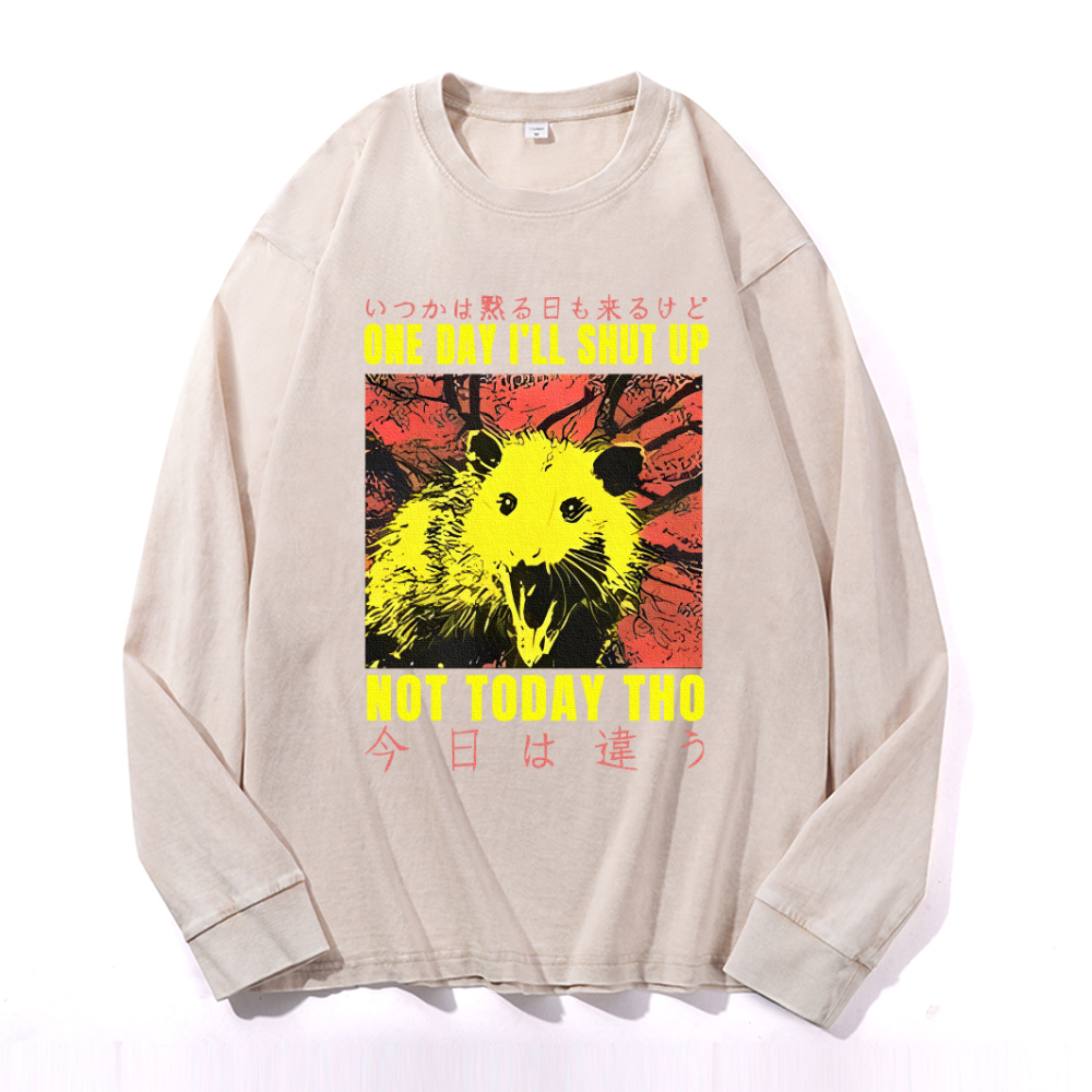 Vintage Cotton Wash Crewneck Long-Sleeve T-Shirt