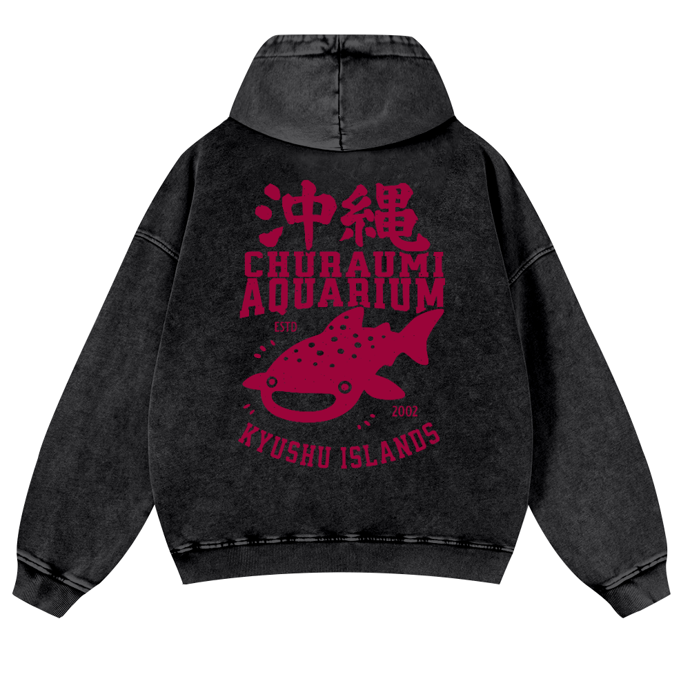 Okinawa Churaumi Aquarium Kyushu Islands Fish Vintage Washed Cotton Back Art Hoodie