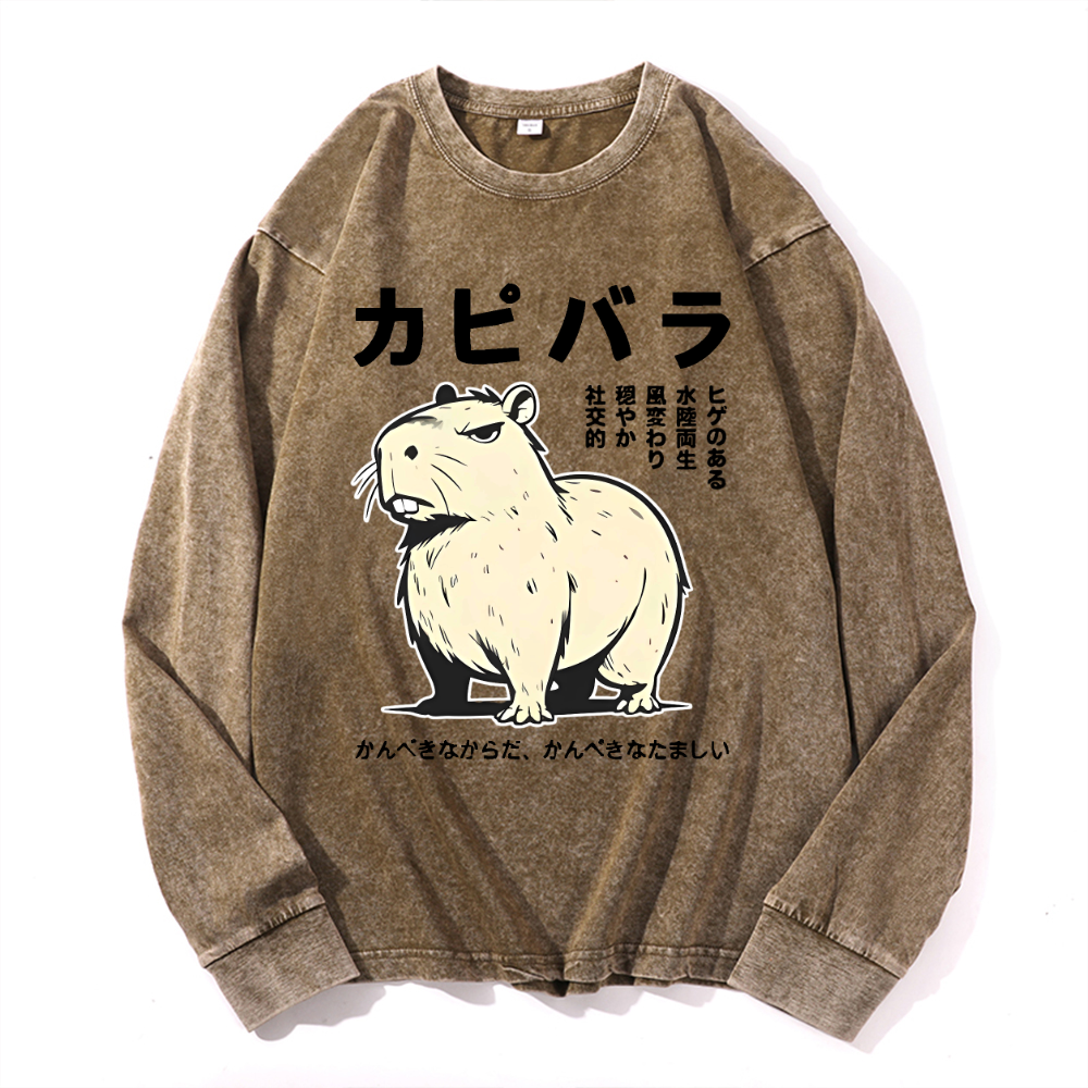 Vintage Cotton Wash Crewneck Long-Sleeve T-Shirt