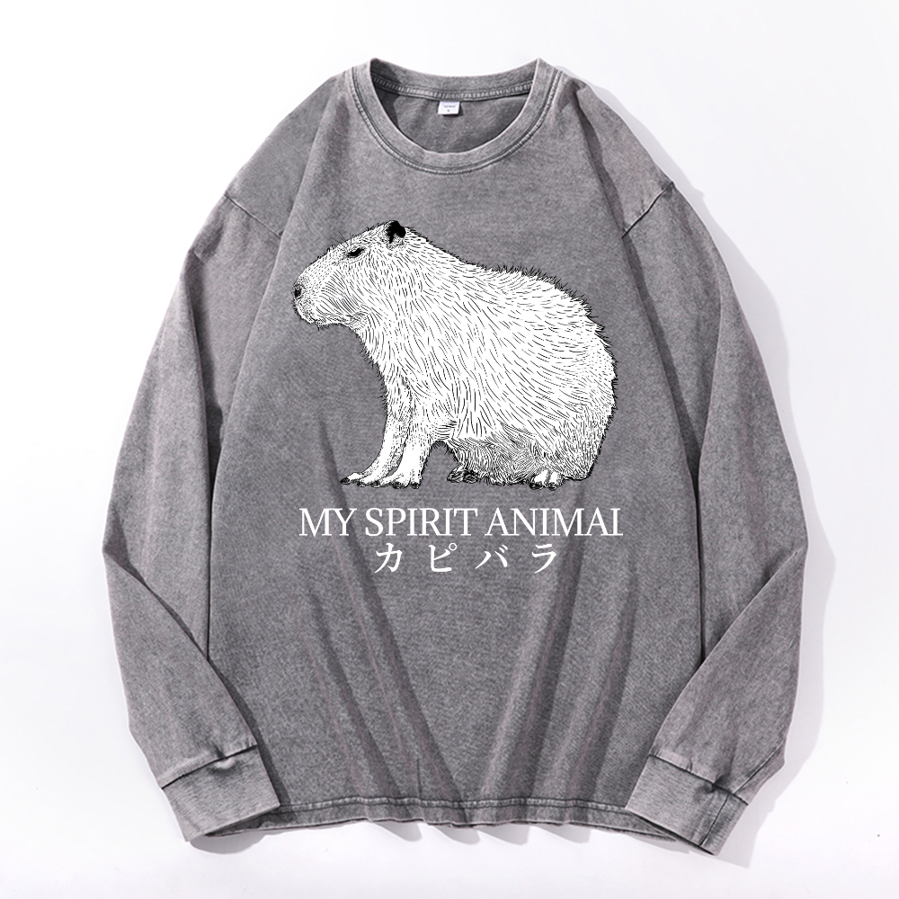 Capybara Vintage Cotton Wash Long-sleeve T-shirt