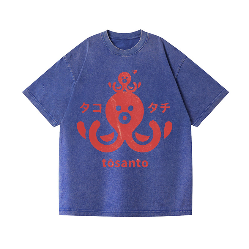 Tosanto Vintage Wash Japanese Design T-Shirt