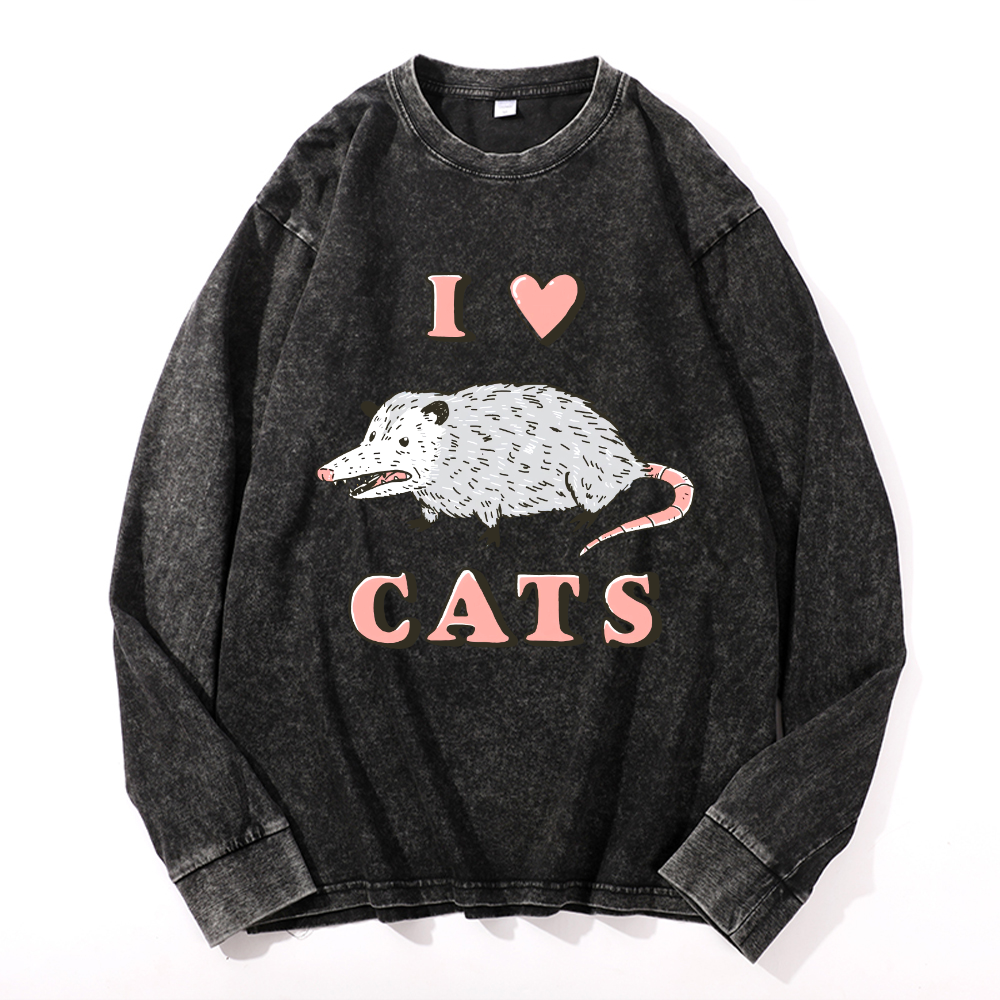 Vintage Cotton Wash Crewneck Long-Sleeve T-Shirt