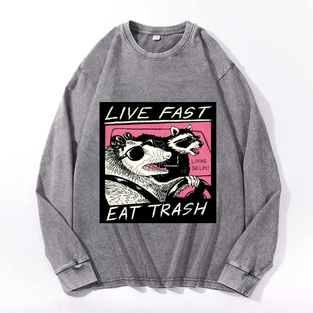 Vintage Cotton Wash Crewneck Long-Sleeve T-Shirt