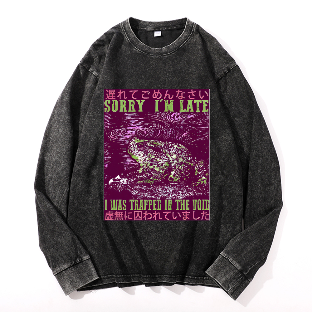 Vintage Cotton Wash Crewneck Long-Sleeve T-Shirt
