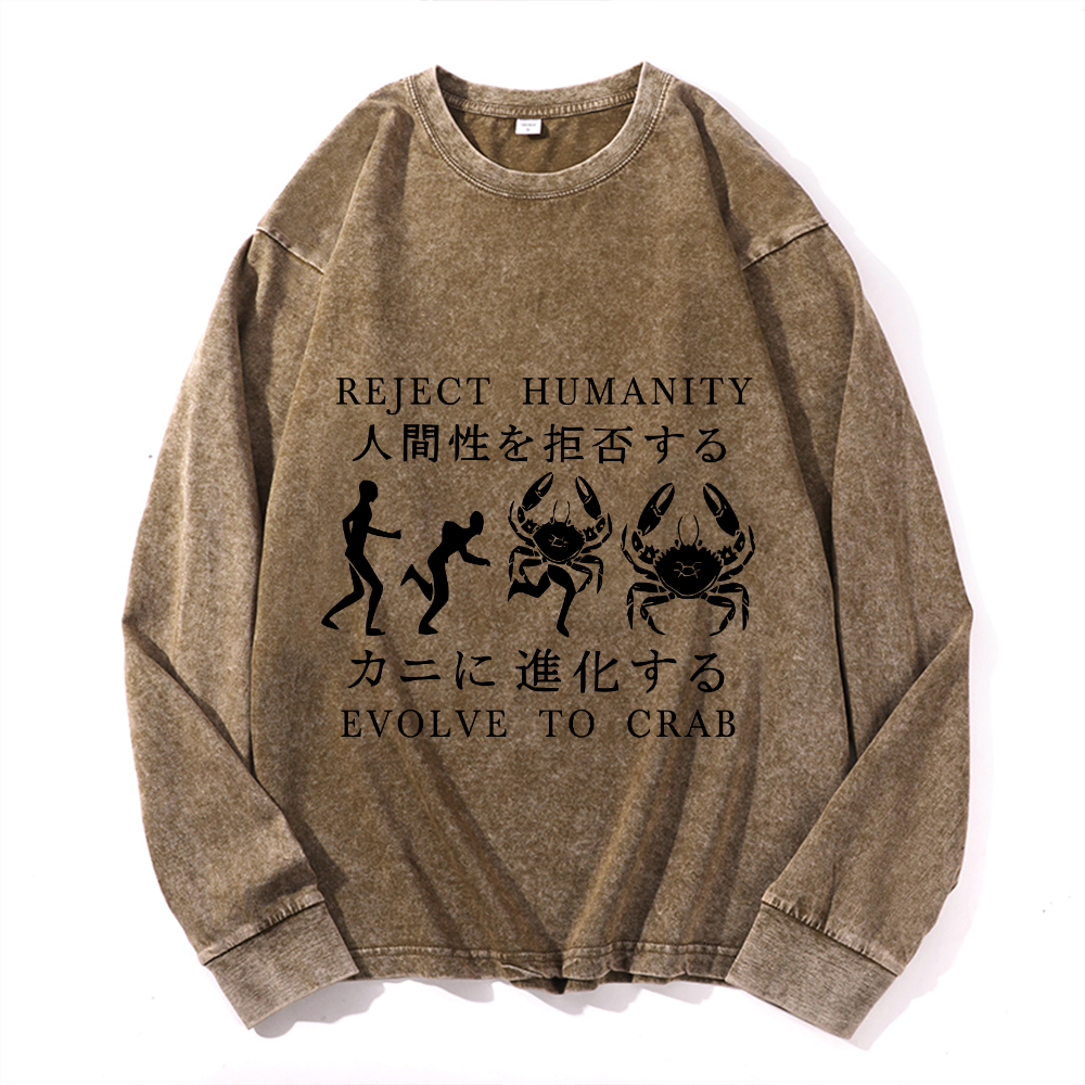 Vintage Cotton Wash Crewneck Long-Sleeve T-Shirt